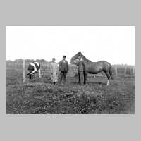 096-0005 Das Ehepaar Krause auf der Pferdekoppel im Juli 1943.jpg